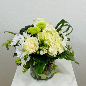 clear cylinder with white roses, white hydrangea, green kale, white daisies, and green button poms designed by La Paloma Blanca Floral Designs