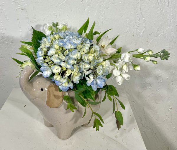 image (36) image (36)