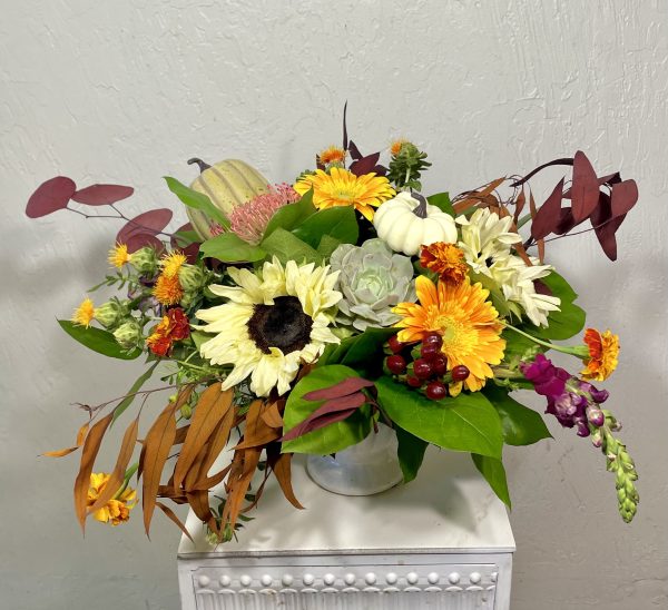 pumpkin patch pumpkin patch