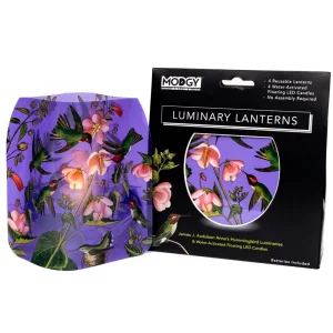 Hummingbird Luminary